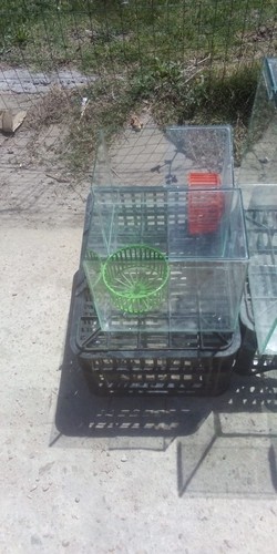 Agropecuaria Damián 