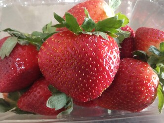 EMPORIO DE LAS FRUTAS Frutillas