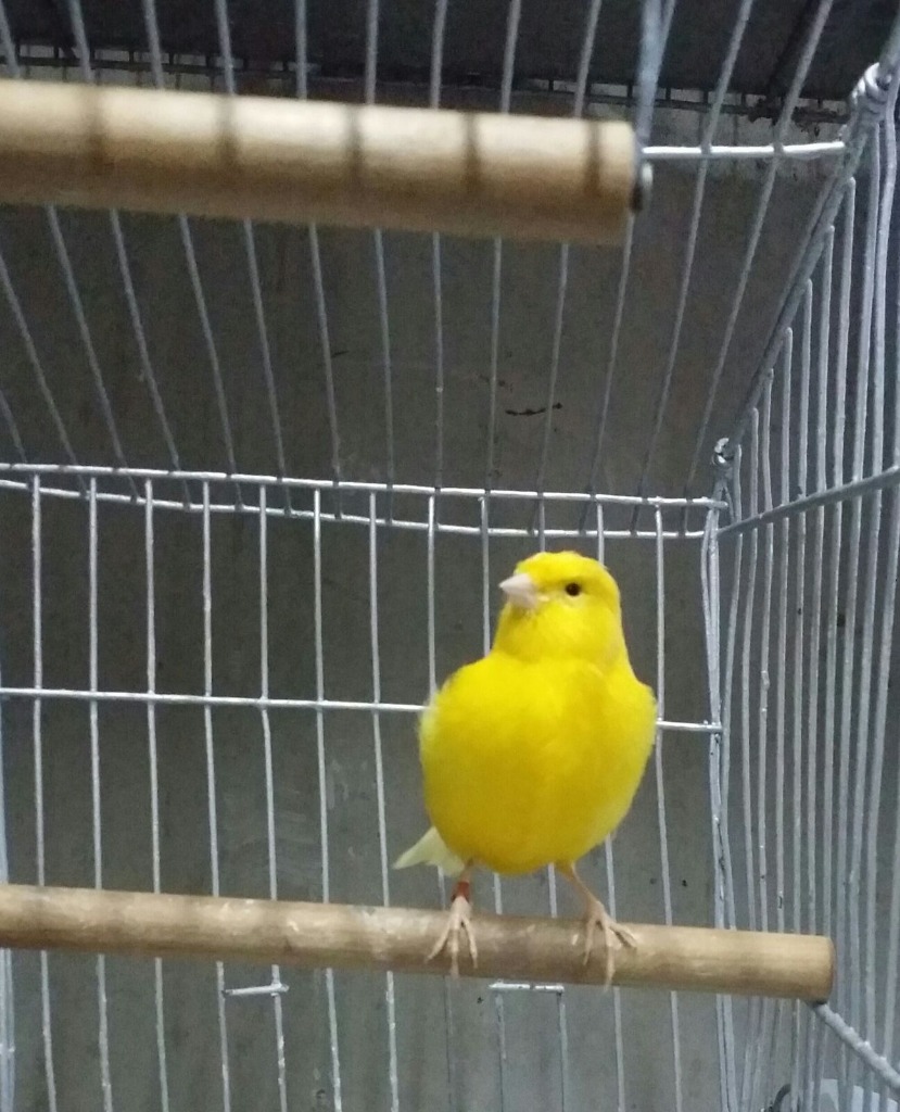 AGROPECUARIA 101 Y AUTOSERVICE  