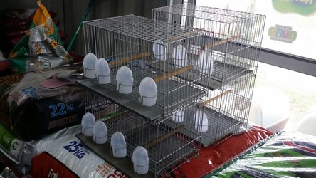 AGROPECUARIA 101 Y AUTOSERVICE 