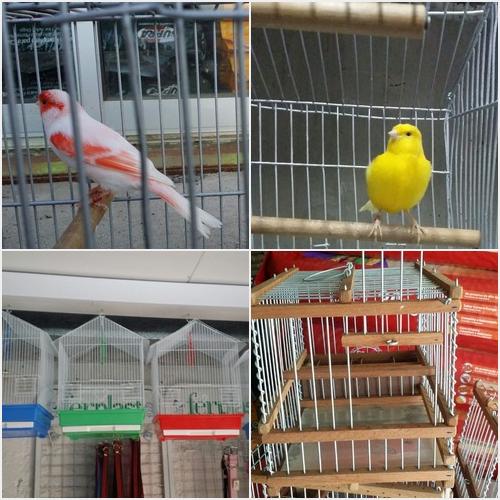 AVES Y JAULAS AGROPECUARIA 101 Y AUTOSERVICE