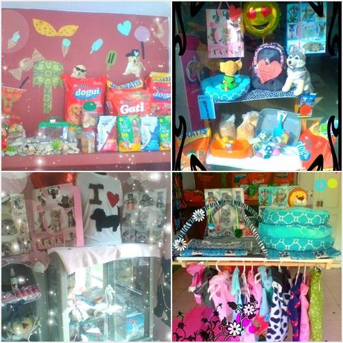 SPA ANIMAL SPA ANIMAL