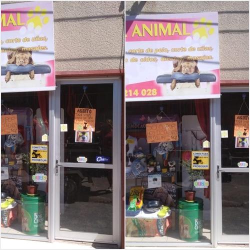 Nuestra Casa SPA ANIMAL