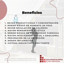 SALVAESCALERAS DEL MERCOSUR 