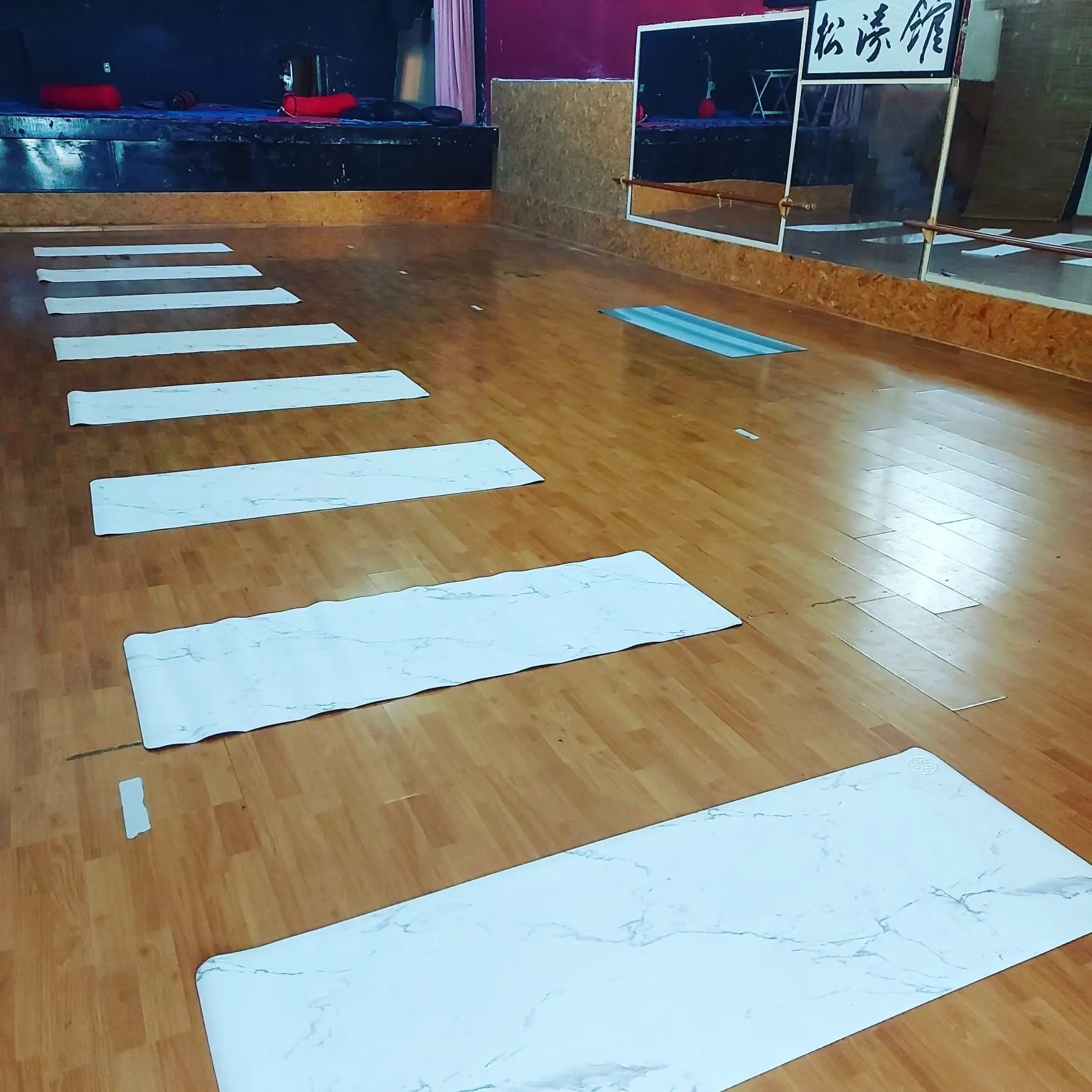 HATHA YOGA DANILO MIER  