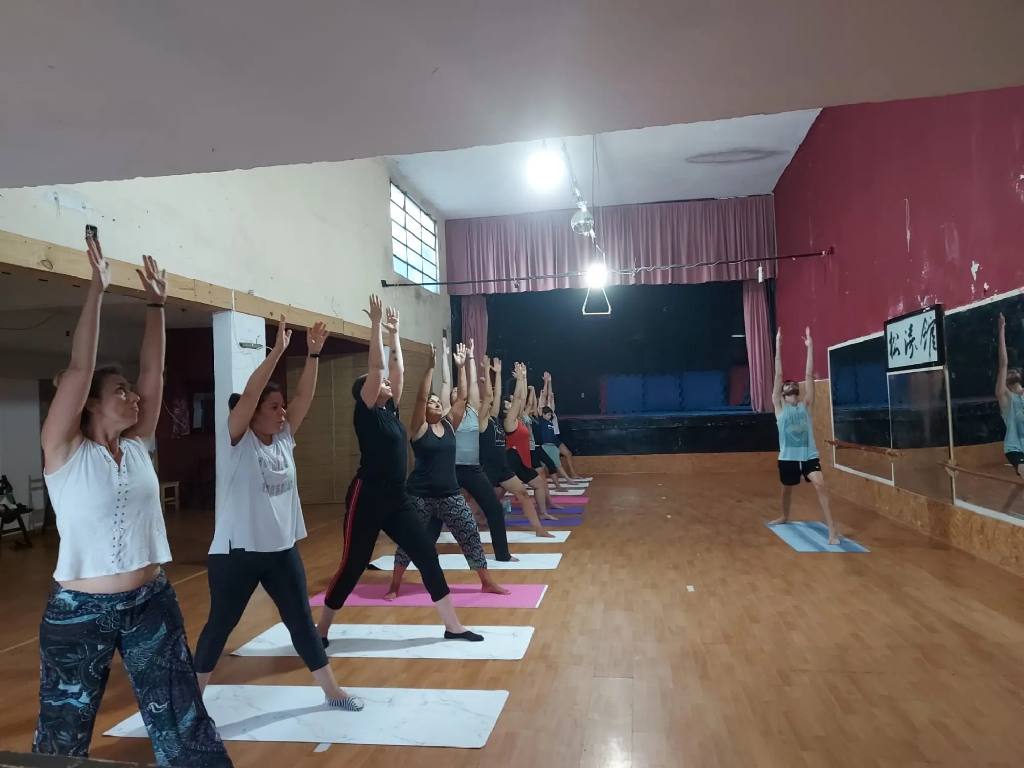 HATHA YOGA DANILO MIER  