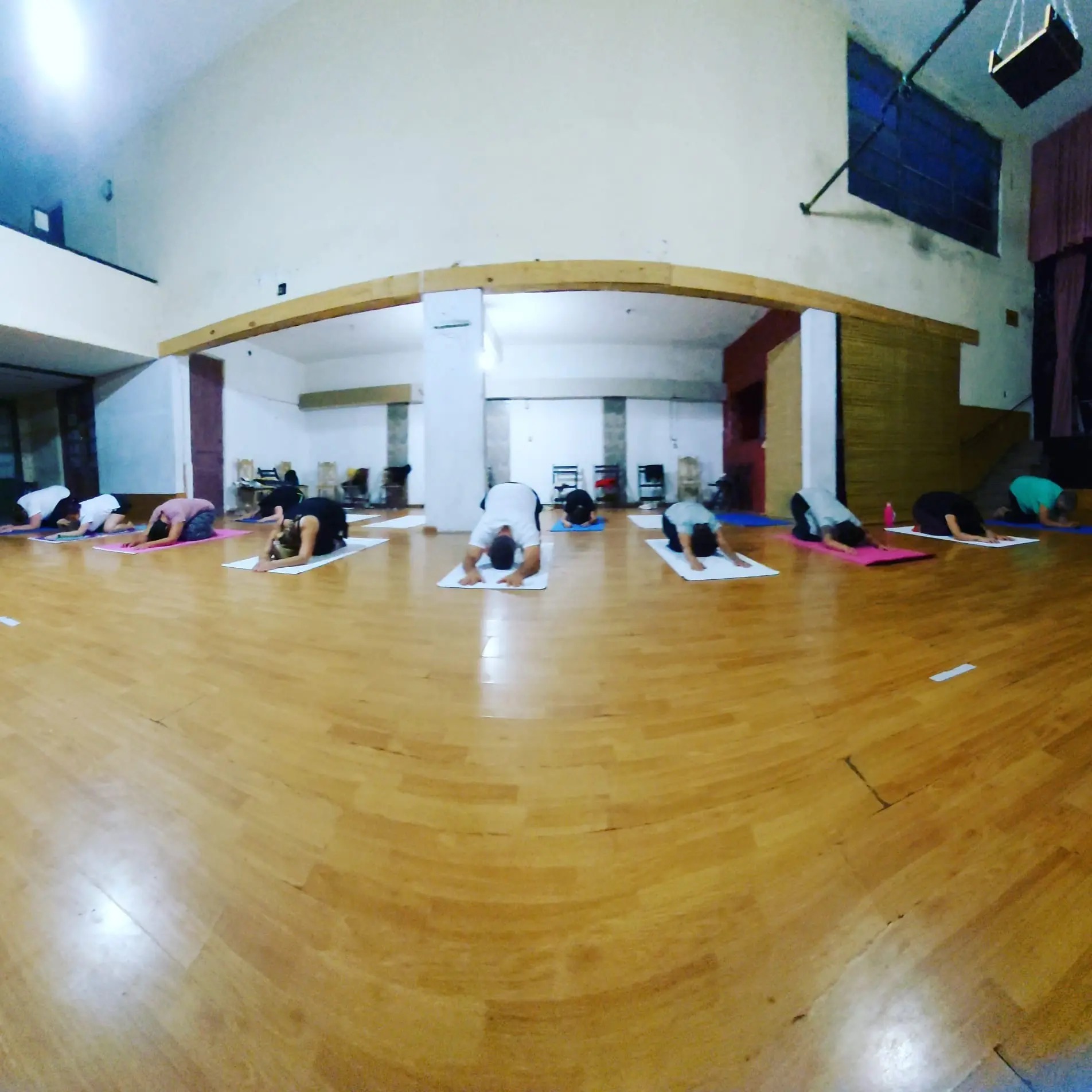 HATHA YOGA DANILO MIER  