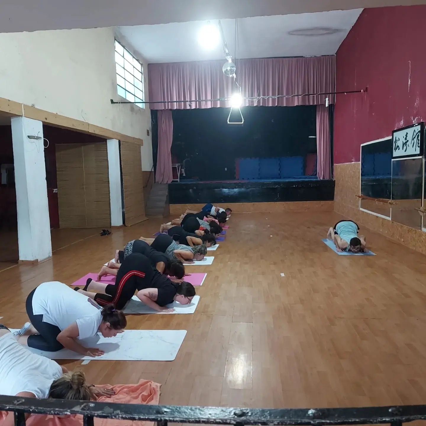 HATHA YOGA DANILO MIER  