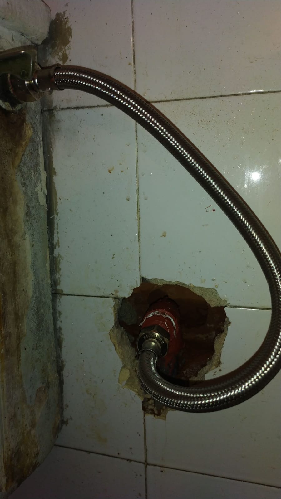 CLAUDIO BENTANCORT SERVICIO SANITARIO  