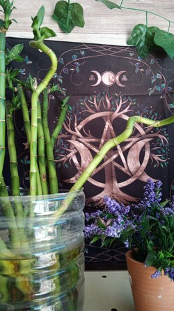 CASA MÍSTICA HERBOMAGICO 