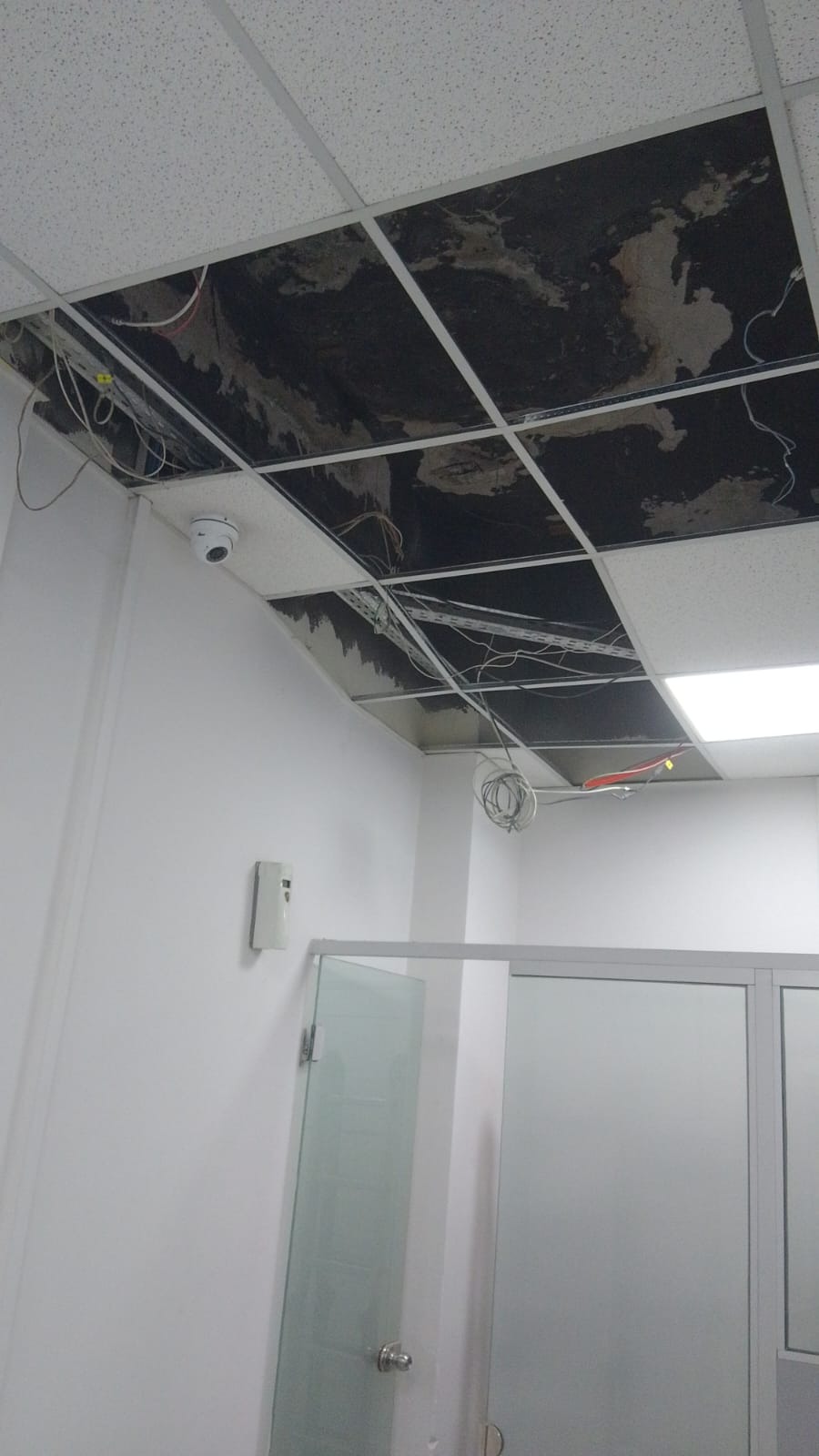 Valenca Valenca Servicios eléctricos y sanitarios
Electricidad pro