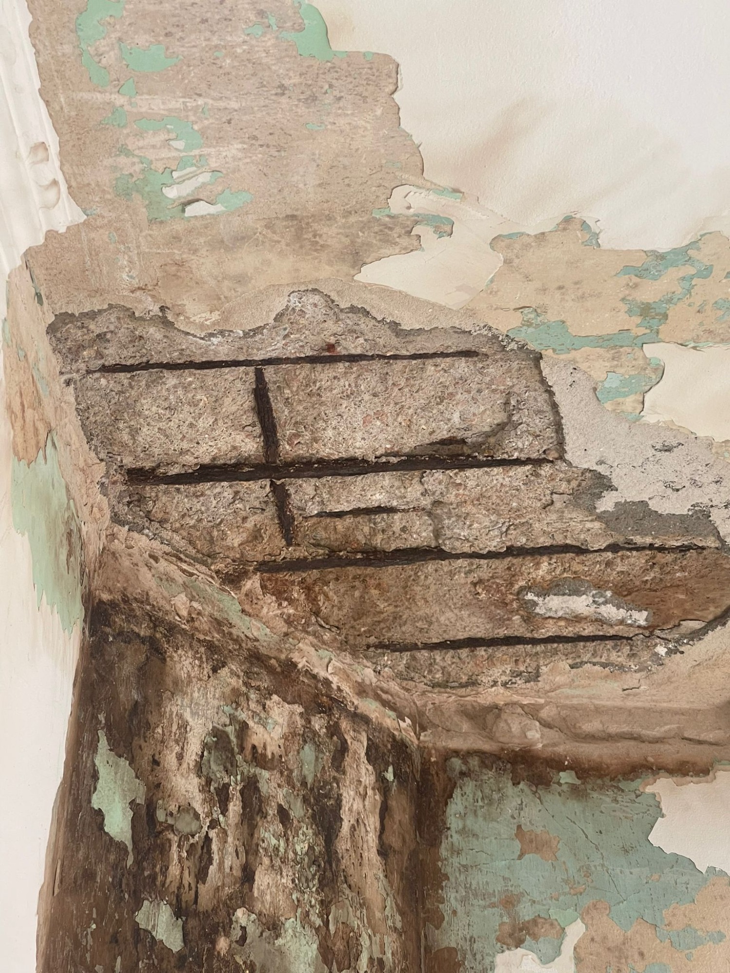 Valenca Valenca Servicios eléctricos y sanitarios 
Electricidad pr