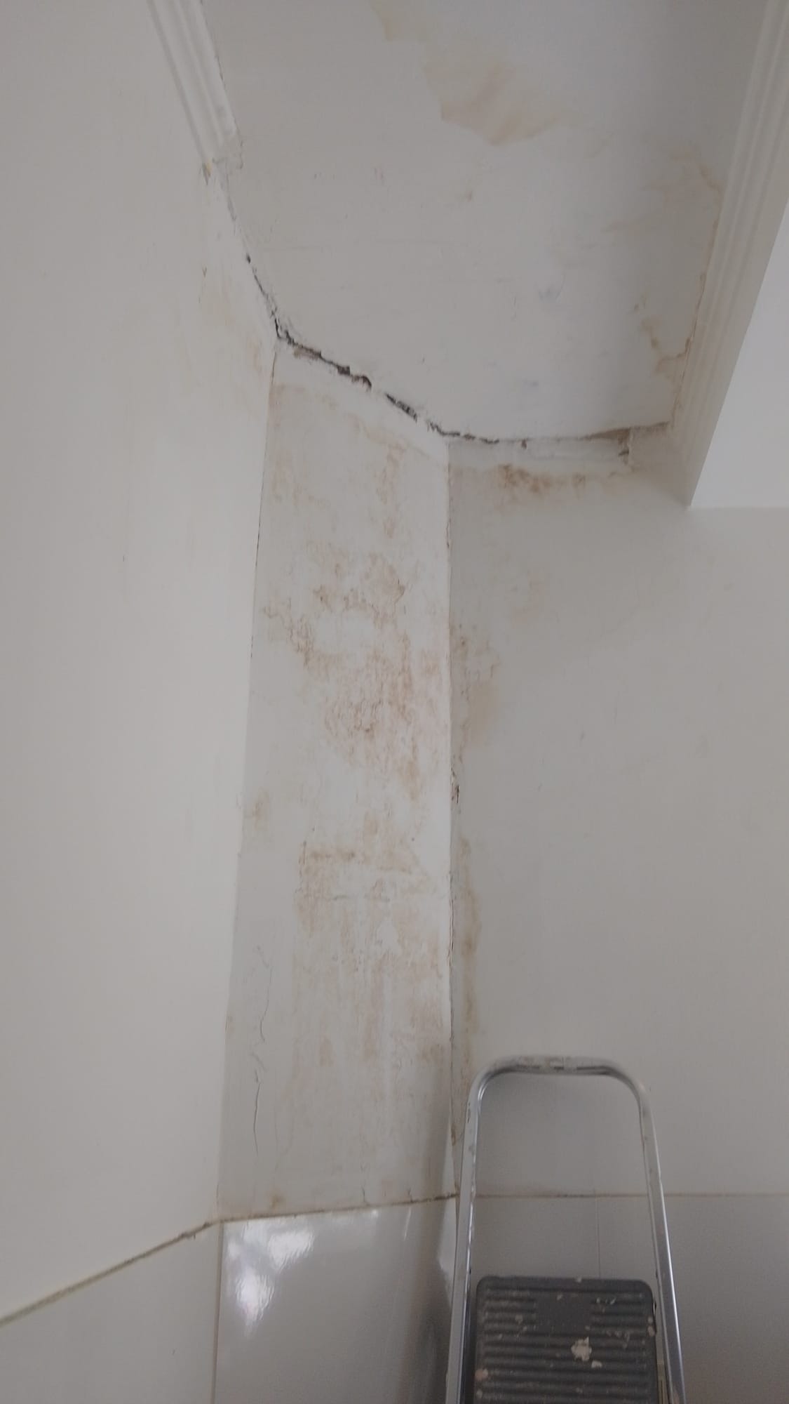 Valenca Valenca Servicios eléctricos y sanitarios 
Electricidad pr