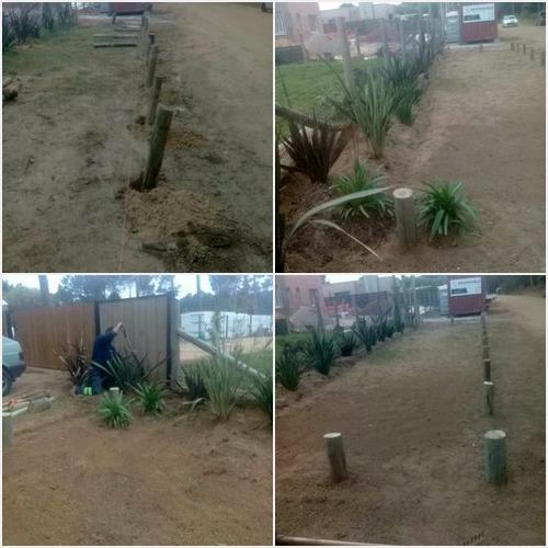 SERVICIO DE JARDINERÍA NESTOR T SOLUCIONES