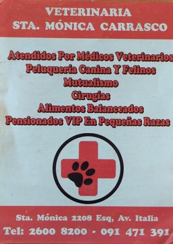 VETERINARIA SANTA MONICA 