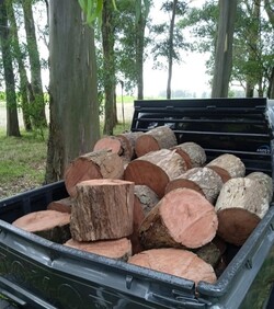 LEÑERIA LO DE ALONSO 