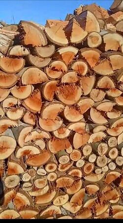 LEÑERIA LO DE ALONSO 