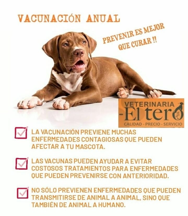 VETERINARIA EL TERO  