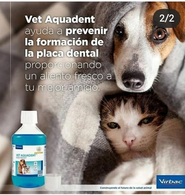 VETERINARIA EL TERO  