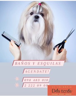 VETERINARIA DOS TEROS peluquería canina