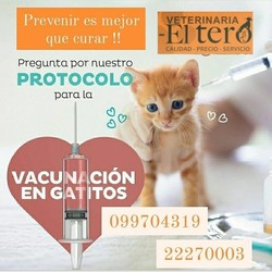 VETERINARIA EL TERO 