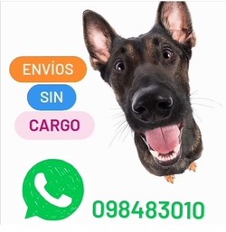 VETERINARIA DOS TEROS delivery raciones