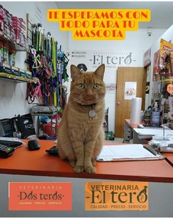 VETERINARIA EL TERO 