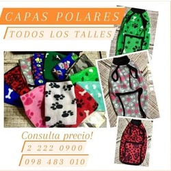 VETERINARIA DOS TEROS chapitas para mascotas