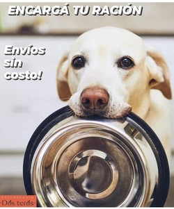 VETERINARIA DOS TEROS 