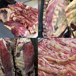 CARNICERÍA AMERICANA 5 