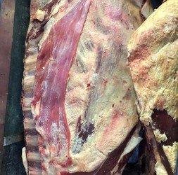 CARNICERÍA AMERICANA 5 