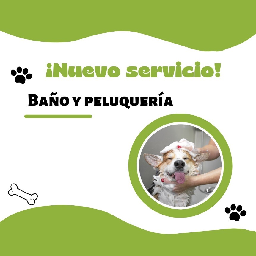 PET SHOP NOVA PET SHOP NOVA Pet shop 
Baño y peluqueria canina
Alimento mascot