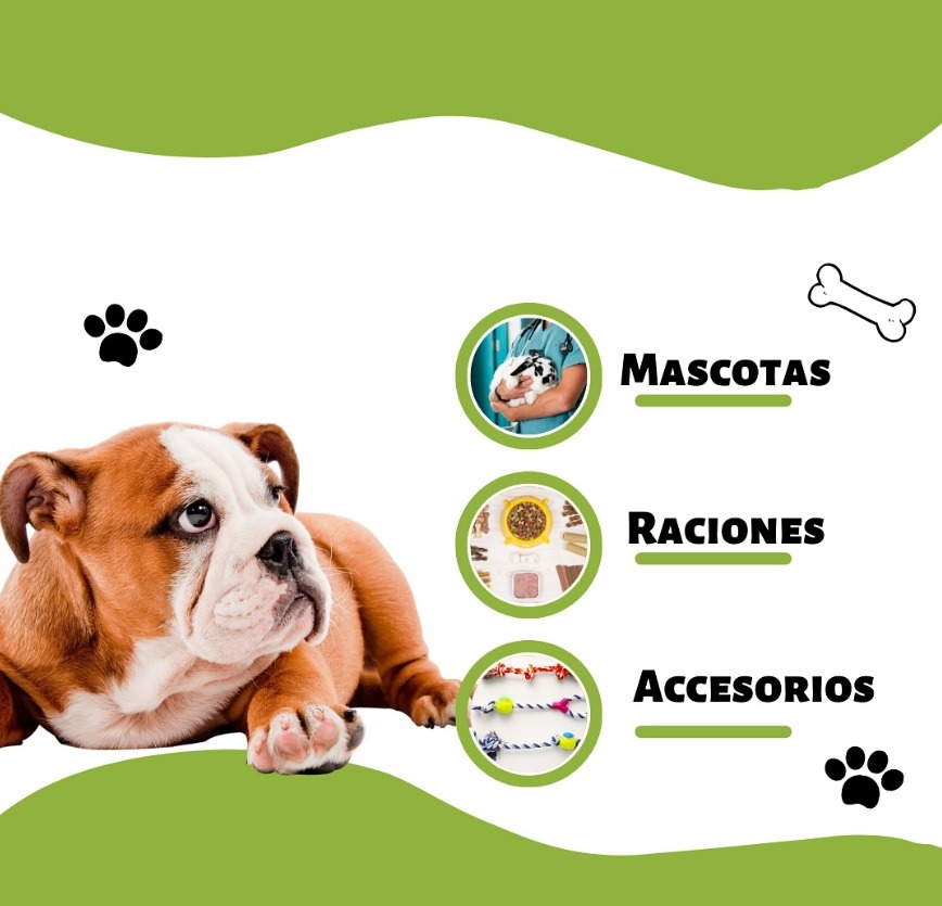 PET SHOP NOVA PET SHOP NOVA Pet shop 
Baño y peluqueria canina
Alimento mascot