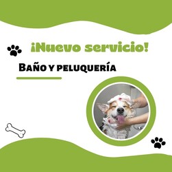 PET SHOP NOVA PET SHOP NOVA