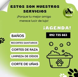 PET SHOP NOVA PET SHOP NOVA