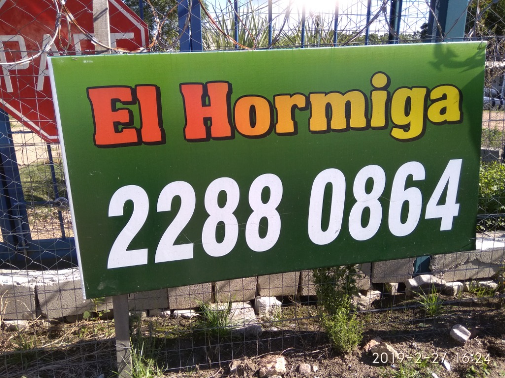 EL HORMIGA  