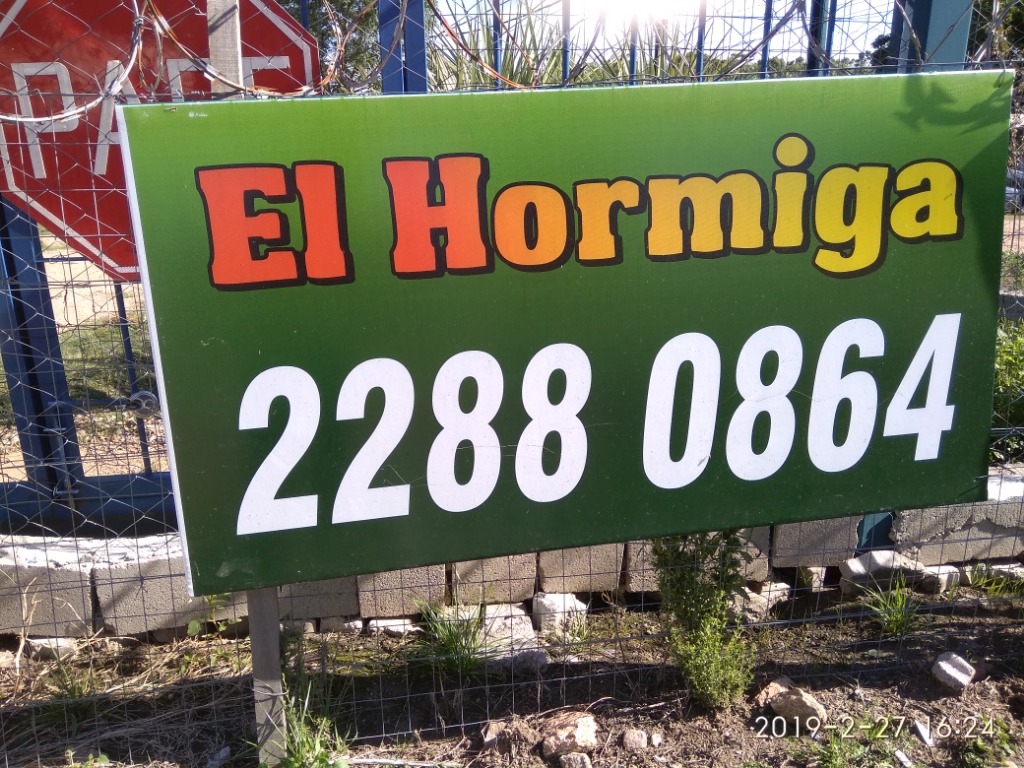 EL HORMIGA  