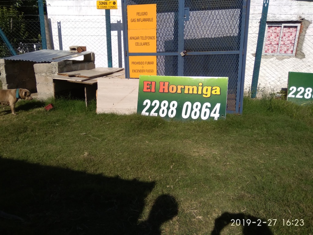 EL HORMIGA  
