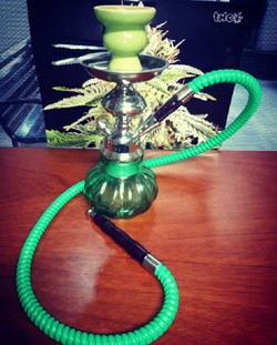 GROW SHOP BUENA VIBRA GROW SHOP BUENA VIBRA 