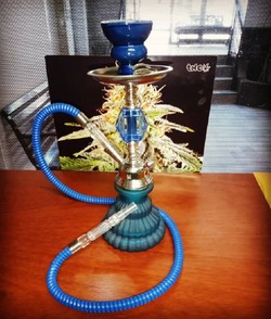 GROW SHOP BUENA VIBRA GROW SHOP BUENA VIBRA 