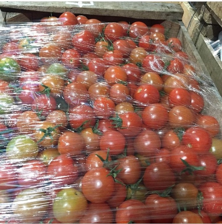 REINA tomates Cherry 