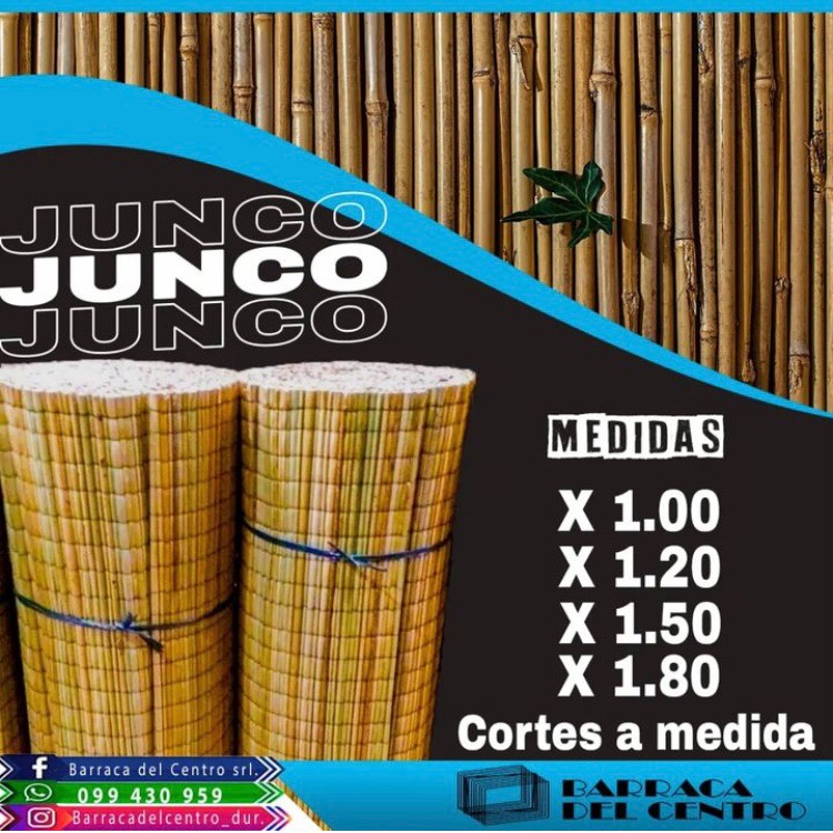 BARRACA DEL CENTRO Esterilla Junco 