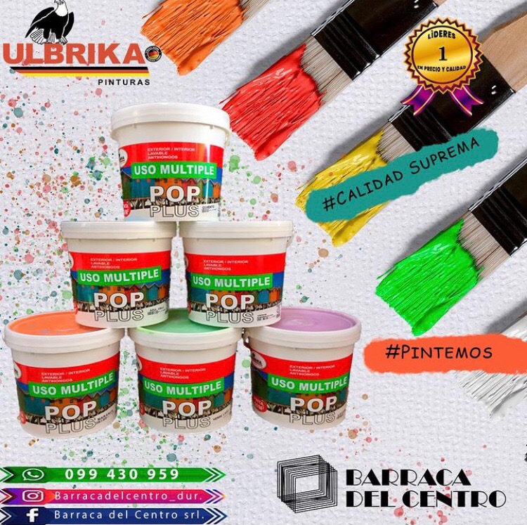 BARRACA DEL CENTRO Pinturas 