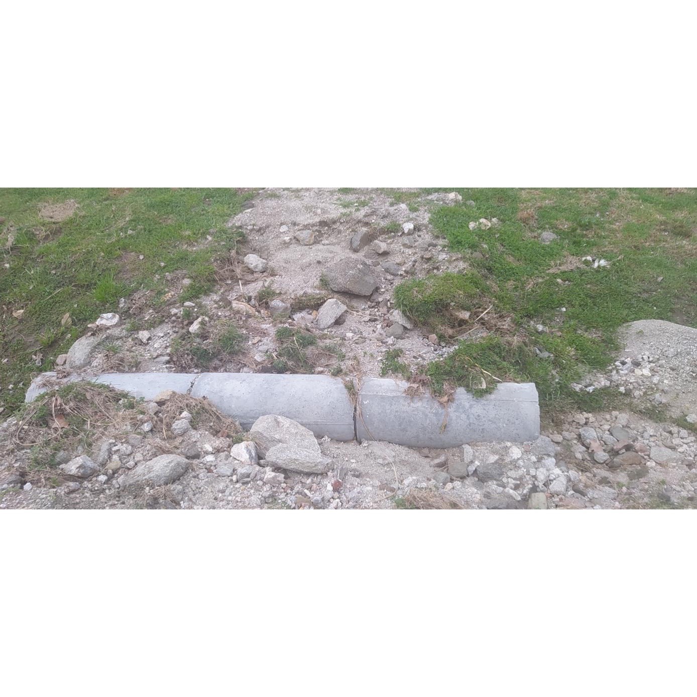 ALFA Y OMEGA SERVICIOS INTEGRALES  