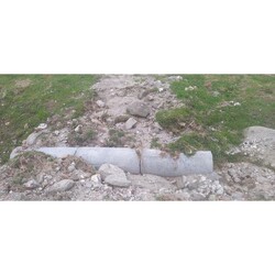 ALFA Y OMEGA SERVICIOS INTEGRALES 