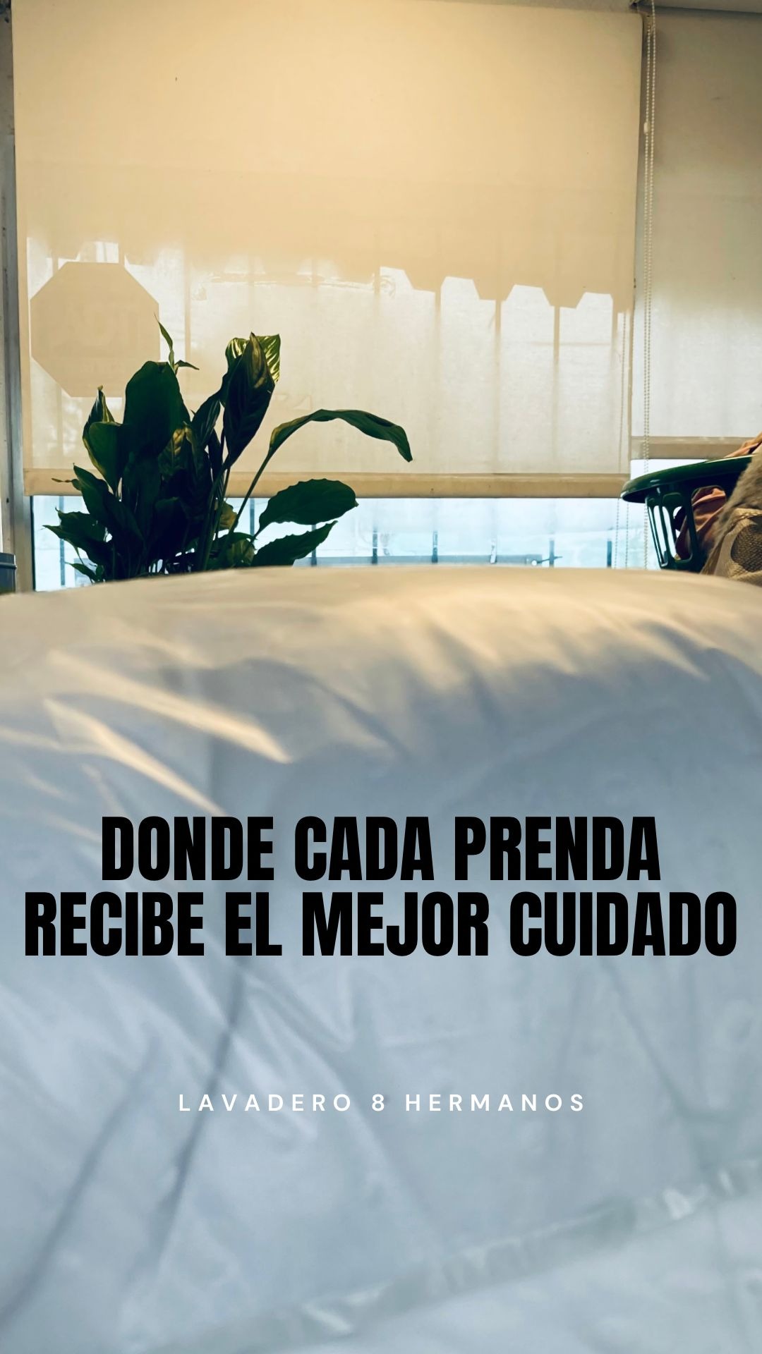 Lavanderia 8 Hemanos Lavadero 8 Hermanos LIMPIEZA ALFOMBRAS
PLANCHADO
SECADOS ROPA
LAVANDER