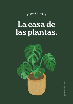 Floreria Azucena Foto 1 