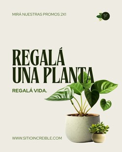 Floreria Azucena Foto 2