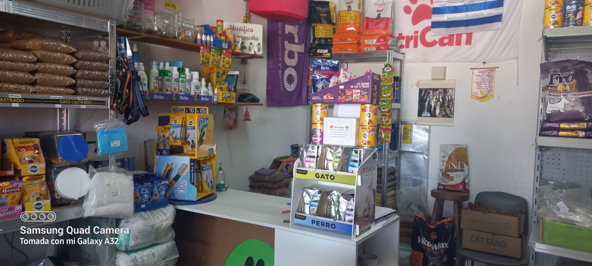 PUNTO MASCOTA PUNTO MASCOTA 