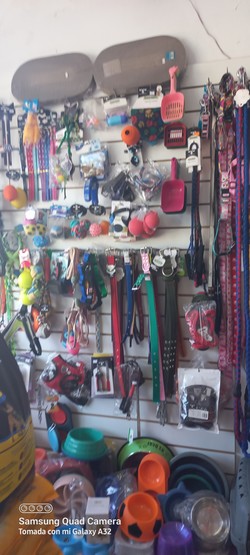 PUNTO MASCOTA PUNTO MASCOTA 